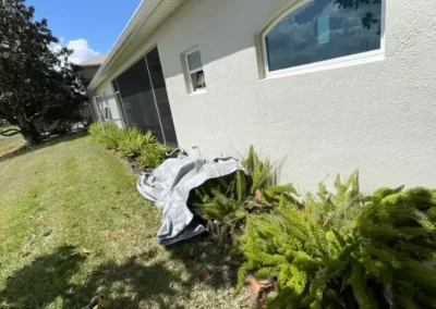 Window Installation (6)